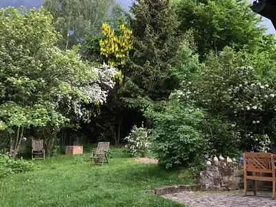 Ferienhaus für 7 Personen (140 m²) in Gersfeld 10/10
