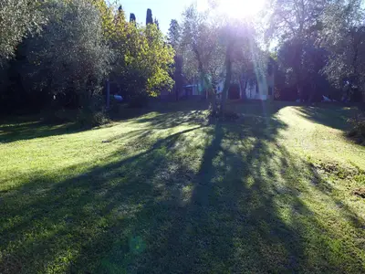 ExteriorSummer