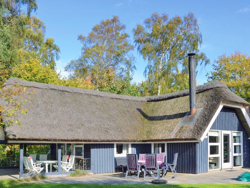 23733813-Ferienhaus-6-Gilleleje-800x600-0