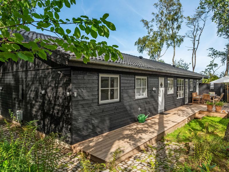 23753254-Ferienhaus-6-Gilleleje-800x600-0