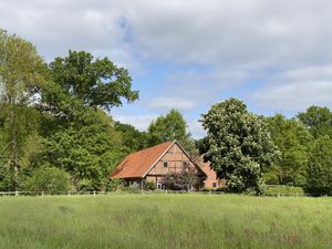 Ferienhaus für 6 Personen (150 m²) in Gilten