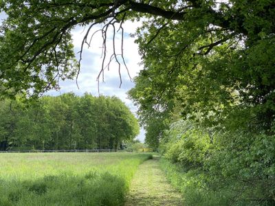 Weg zum Wald