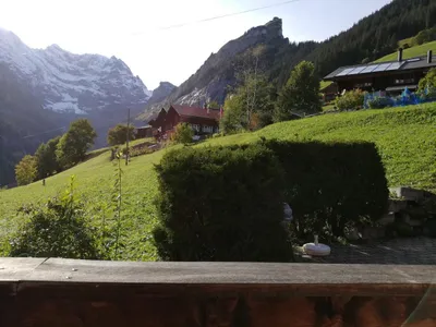 Ausblick