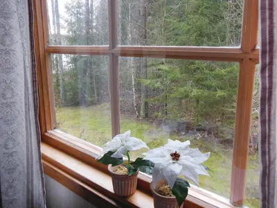 view-from-room