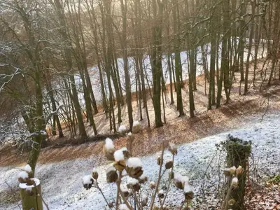 Ferienhaus für 8 Personen (90 m²) in Glatzenthal bei Gnas 10/10