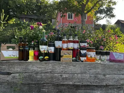 Ferienhaus für 4 Personen (80 m²) in Gnas 10/10