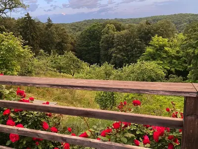 Ferienhaus für 8 Personen (85 m²) in Glatzenthal bei Gnas 9/10