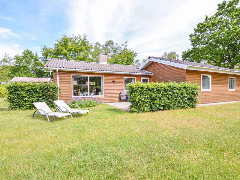 23727018-Ferienhaus-6-Glesborg-800x600-0