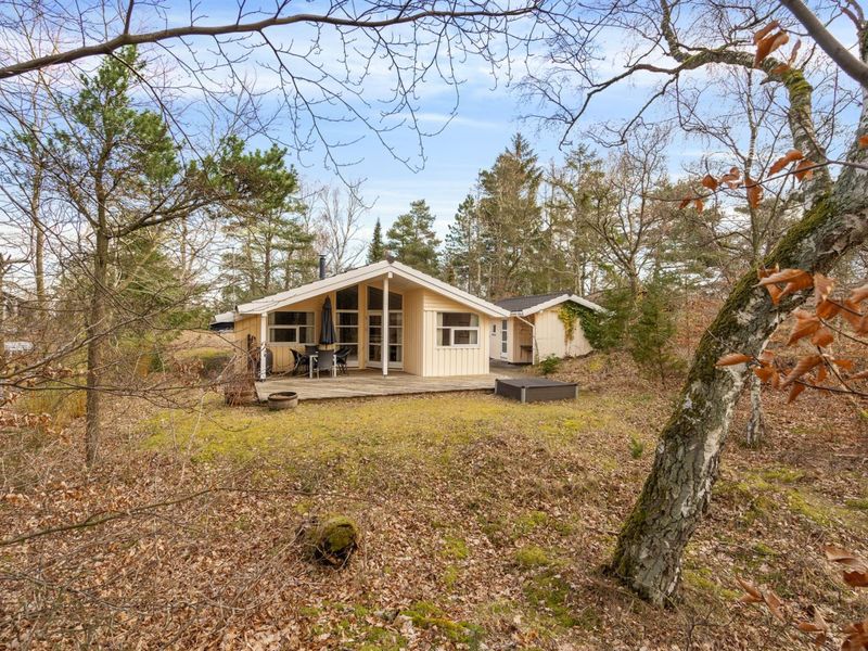 23865588-Ferienhaus-6-Glesborg-800x600-0