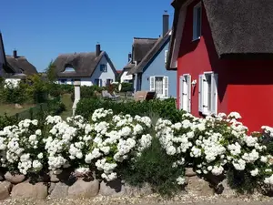 Ferienhaus für 4 Personen (100 m²) in Glowe