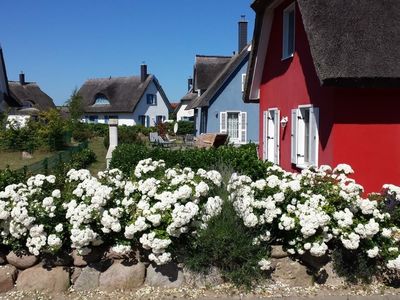 Ferienhaus für 4 Personen (100 m²) in Glowe 1/10