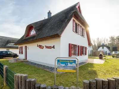 Hauptansicht