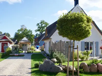 Ferienhaus für 8 Personen (135 m²) in Glowe 5/10