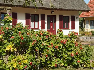 Ferienhaus für 6 Personen (94 m²) in Glowe 5/10