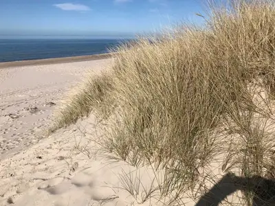 Ferienhaus für 4 Personen (89 m²) in Glowe 4/10