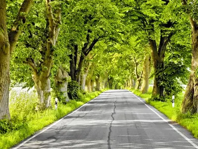 Ferienhaus für 4 Personen (89 m²) in Glowe 9/10