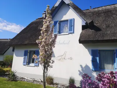 Ferienhaus für 5 Personen (100 m²) in Glowe 6/10