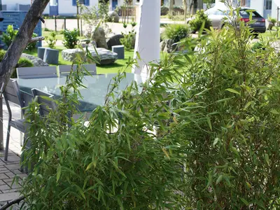 Ferienhaus für 8 Personen (135 m²) in Glowe 7/10