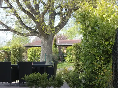 Ferienhaus für 7 Personen (130 m²) in Glowe 5/10