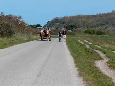 Ferienhaus für 2 Personen (30 m²) in Glowe 8/10