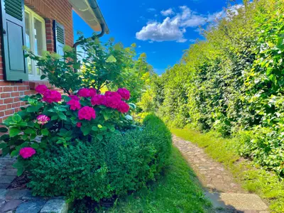 Ferienhaus für 17 Personen (250 m²) in Glowe 10/10