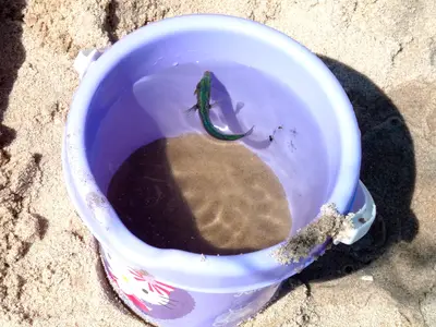 Ferienhaus für 2 Personen (26 m²) in Glowe 10/10