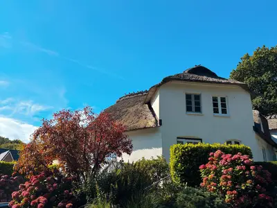 Ferienhaus für 4 Personen (110 m²) in Glücksburg 1/10