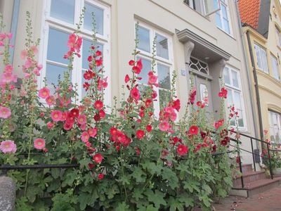 Ferienhaus für 4 Personen (90 m²) in Glückstadt 4/10