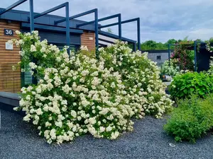 Ferienhaus für 4 Personen (60 m²) in Goch