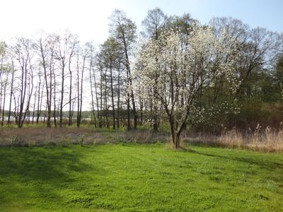 Ferienhaus für 6 Personen (75 m²) in Godendorf 5/10