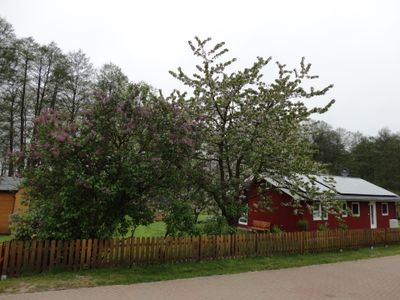 Ferienhaus für 6 Personen (75 m²) in Godendorf 6/10