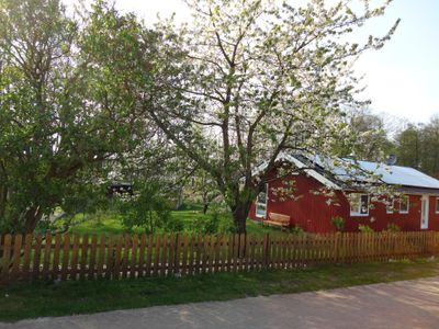 Ferienhaus für 6 Personen (75 m²) in Godendorf 7/10