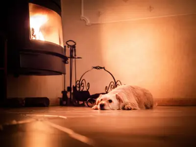 Ferienhaus für 4 Personen (55 m²) in Godern 7/10