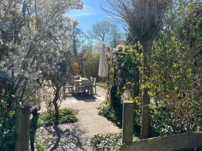 Garten [Sommer]