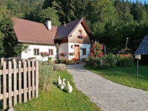 Ferienhaus für 8 Personen in Göstling an der Ybbs