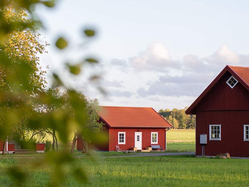 23456995-Ferienhaus-6-Götene-800x600-2