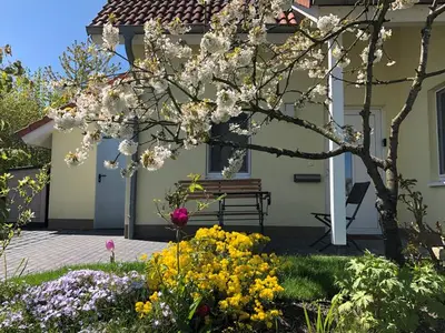 Ferienhaus für 7 Personen (99 m²) in Göhren Lebbin 6/10