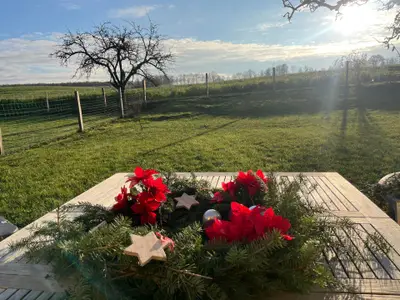 Ferienhaus für 8 Personen (125 m²) in Göhren Lebbin 2/10