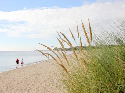Strand