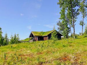 Ferienhaus für 7 Personen (110 m²) in Gol