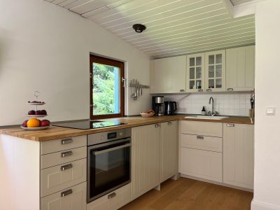 Ferienhaus für 3 Personen (60 m²) in Goltoft 7/10