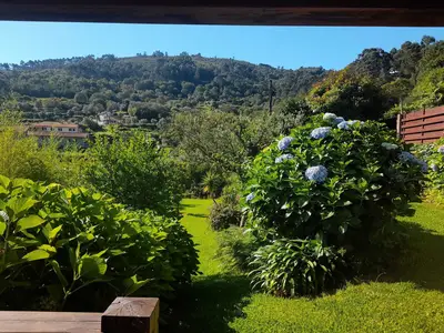 GardenSummer