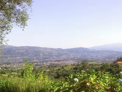 ViewSummer