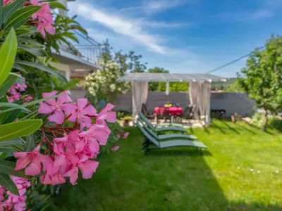 GardenSummer