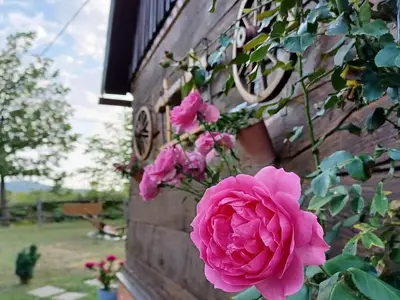 Outdoor