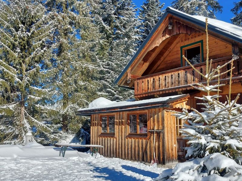 23308879-Ferienhaus-8-Gosau-800x600-0