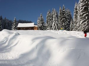 22401715-Ferienhaus-10-Gosau-300x225-3