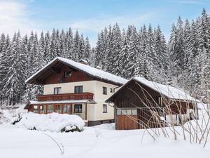 23744958-Ferienhaus-20-Gosau-300x225-0