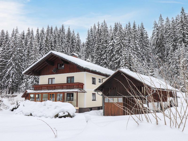 23744958-Ferienhaus-20-Gosau-800x600-0