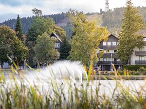 23981269-Ferienhaus-4-Goslar-300x225-1